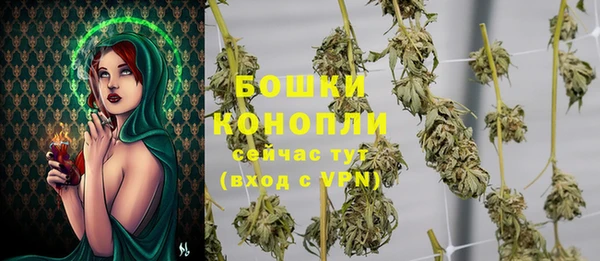 Альфа ПВП Новозыбков