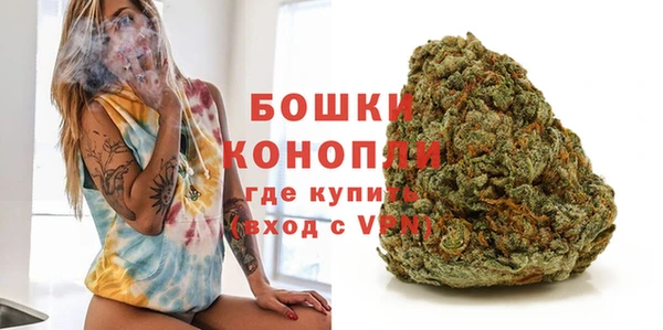 Альфа ПВП Новозыбков