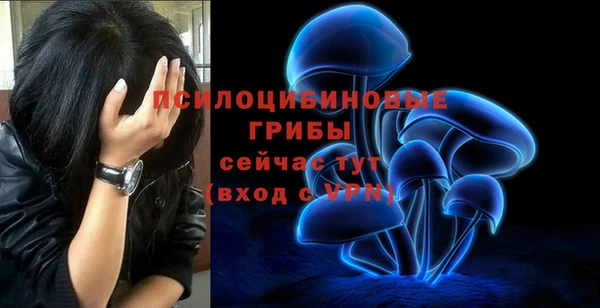 гашиш Новодвинск