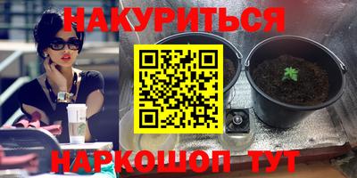 эйфоретик Дубна
