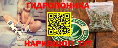 эйфоретик Дубна